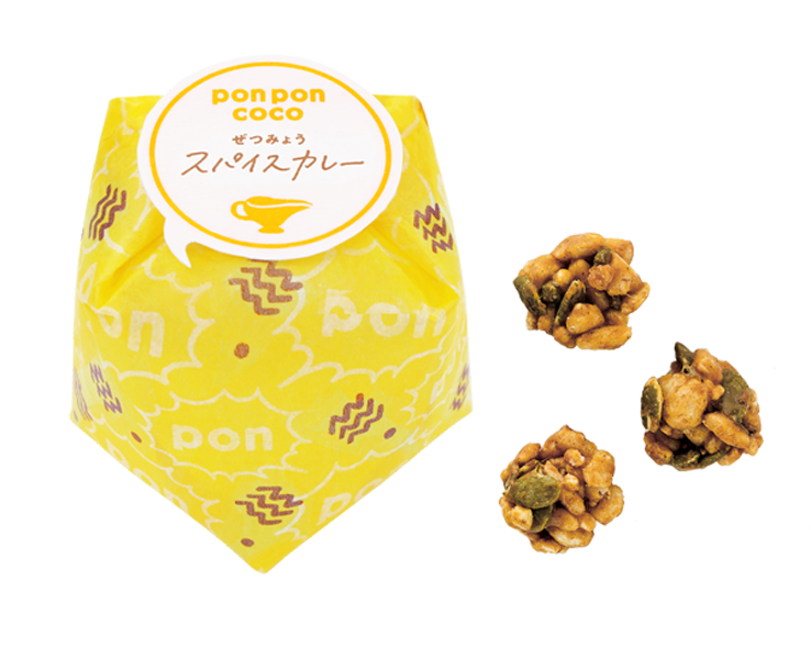 pon pon coco スパイスカレー